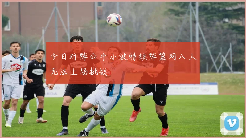今日对阵公牛小波特缺阵篮网八人无法上场挑战