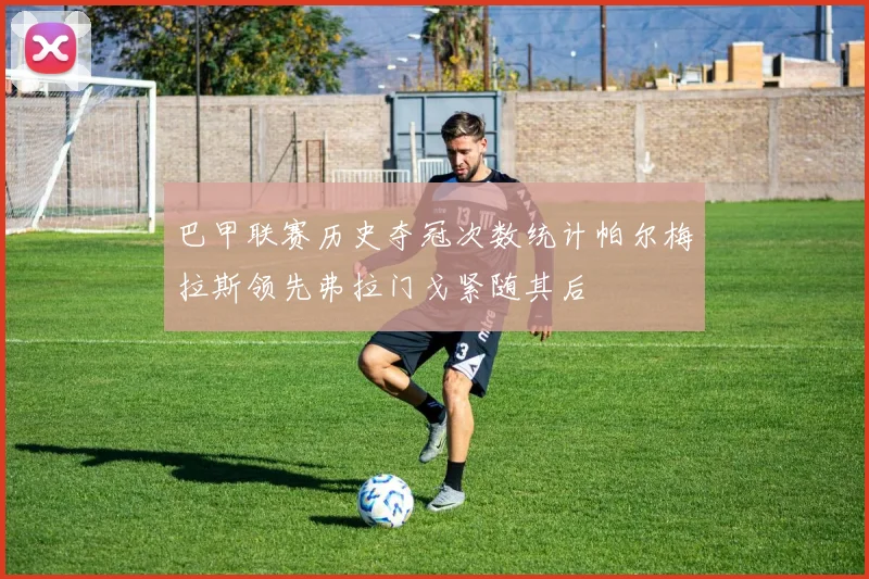 巴甲联赛历史夺冠次数统计帕尔梅拉斯领先弗拉门戈紧随其后