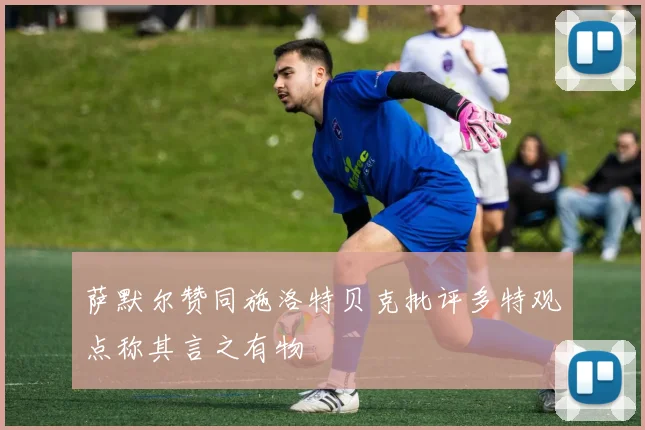 萨默尔赞同施洛特贝克批评多特观点称其言之有物