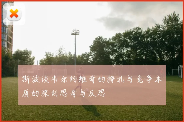 斯波谈韦尔约维奇的挣扎与竞争本质的深刻思考与反思