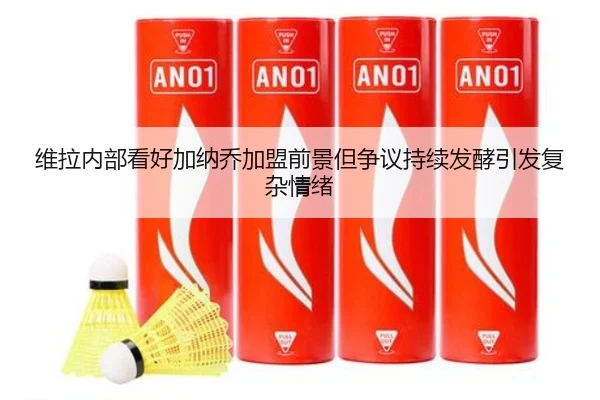 维拉内部看好加纳乔加盟前景但争议持续发酵引发复杂情绪 | xingkong